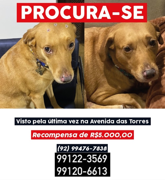 Foto: Reprodu&ccedil;&atilde;o