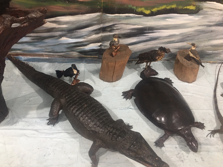 Foto: Divulga&ccedil;&atilde;o