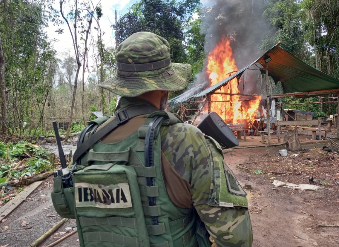 Foto: Divulga&ccedil;&atilde;o Ibama