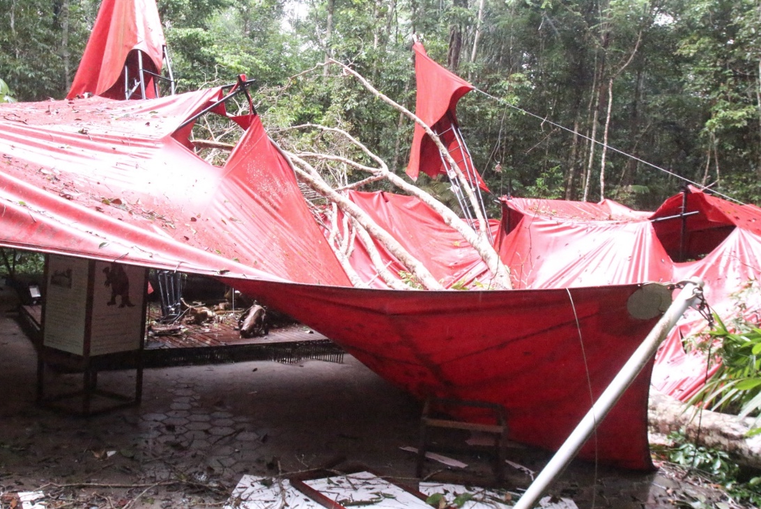 Foto: Valter Calheiros