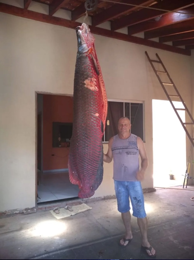 Lucio Omar Pereira com pirarucu de 110 quilos pescado no rio Grande em 2019 &mdash; Foto: Arquivo Pessoal