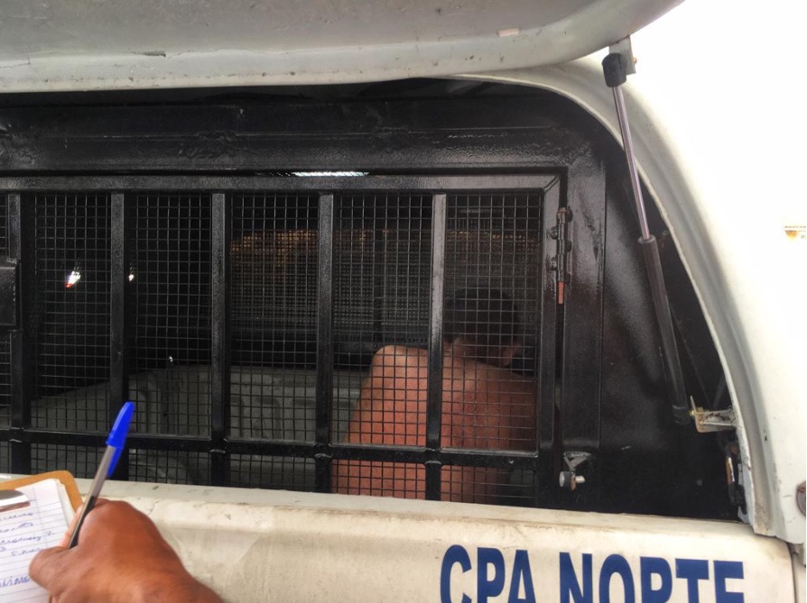 Foto: Jander Robson / Portal do Holanda