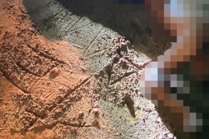 Divulga&ccedil;&atilde;o