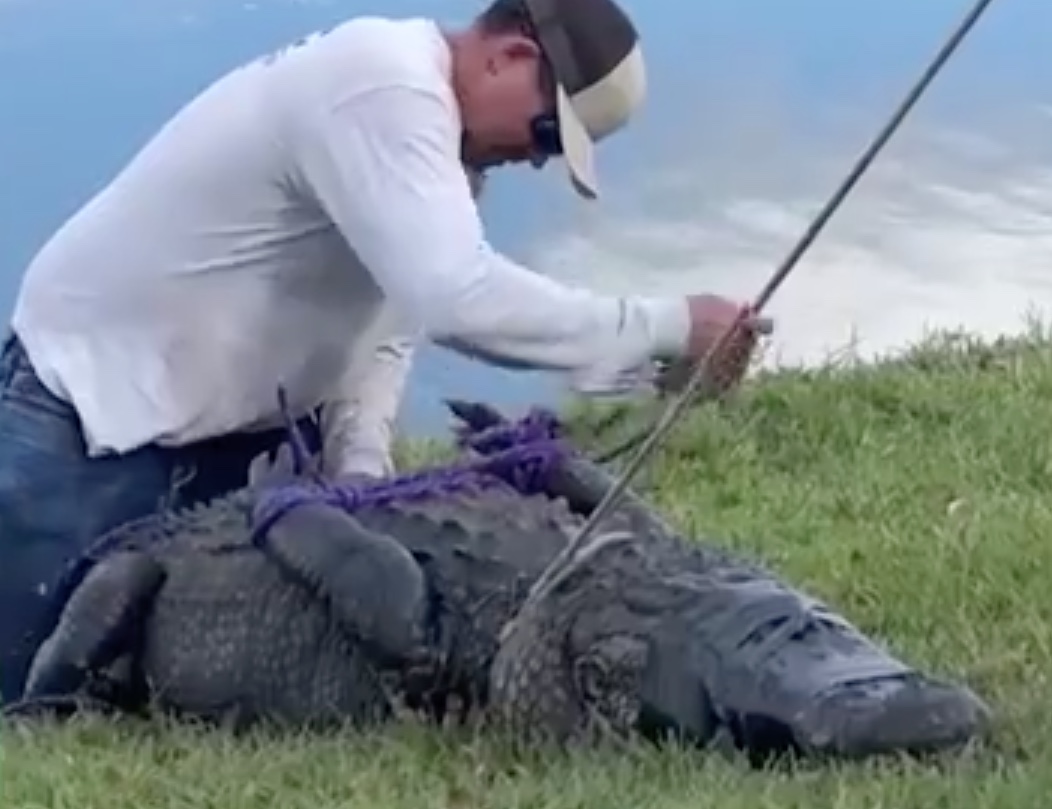 Foto: Divulga&ccedil;&atilde;o