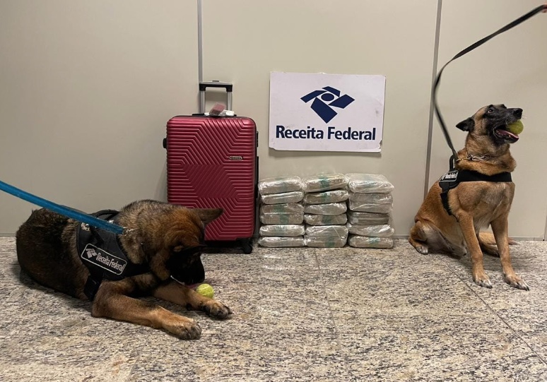 Foto: Divulga&ccedil;&atilde;o Receita Federal