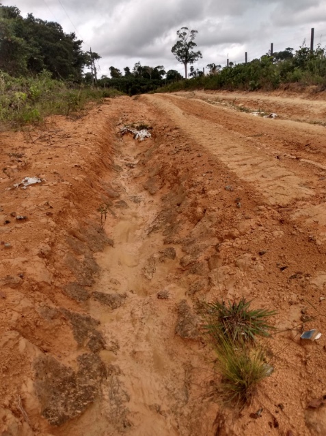 Foto: Divulga&ccedil;&atilde;o