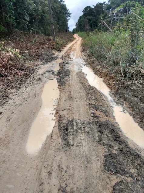 Foto: Divulga&ccedil;&atilde;o