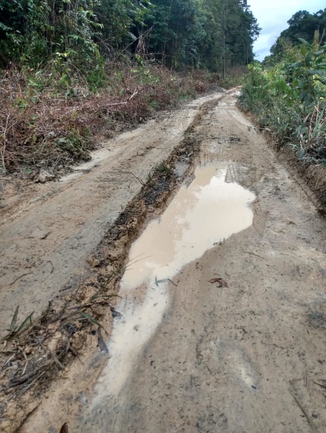 Foto: Divulga&ccedil;&atilde;o