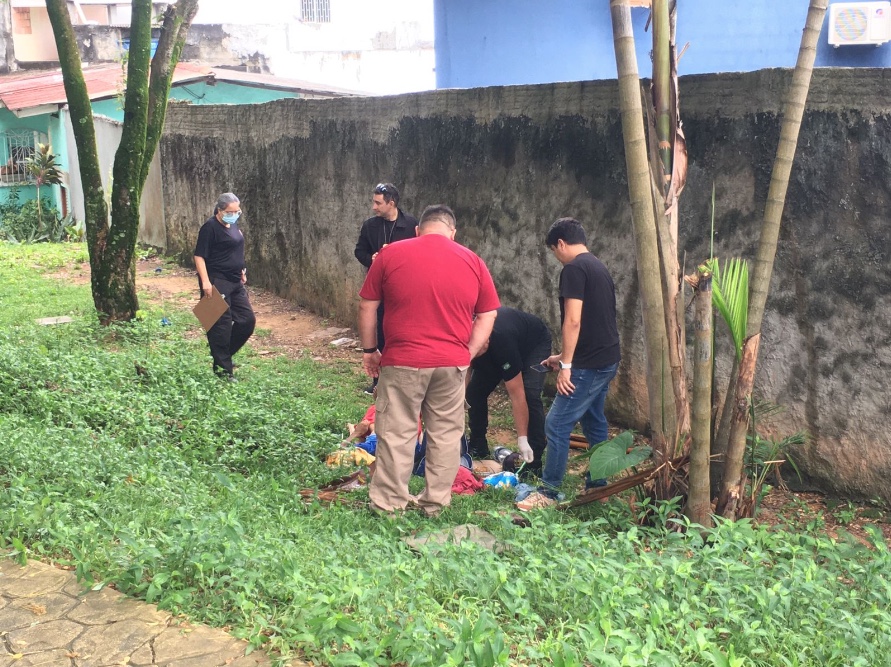 Foto: Jander Robson / Portal do Holanda