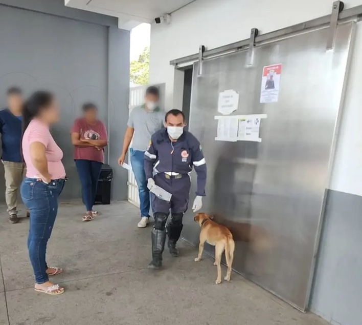 Cachorro procurou pelo dono enquanto ele recebia atendimento &mdash; Foto: Arquivo Pessoal