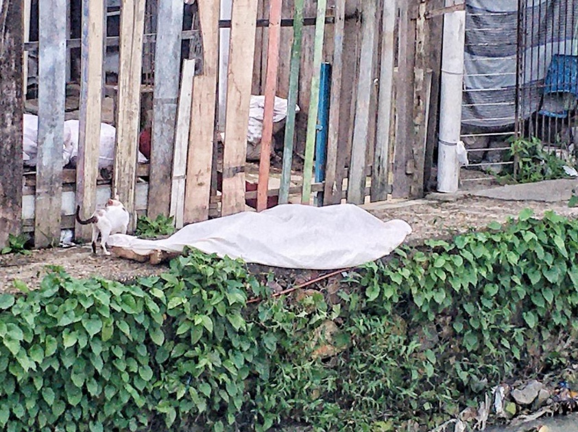 Foto: Jander Robson / Portal do Holanda