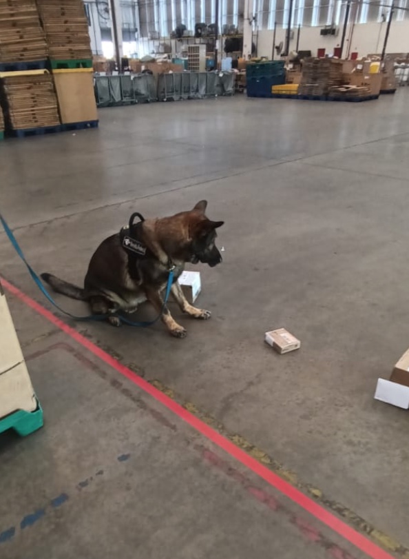 Foto: Divulga&ccedil;&atilde;o Receita Federal de Manaus