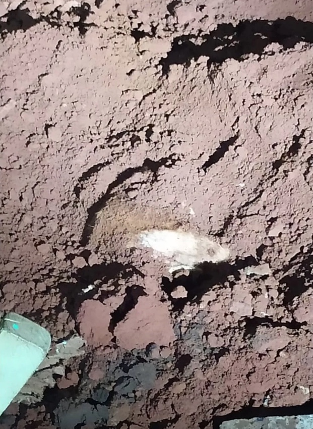 Local onde cachorro foi encontrado morto e enterrado, segundo a PM &mdash; Foto: PM/Toledo