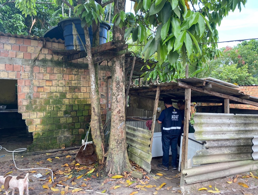 Foto: Divulga&ccedil;&atilde;o