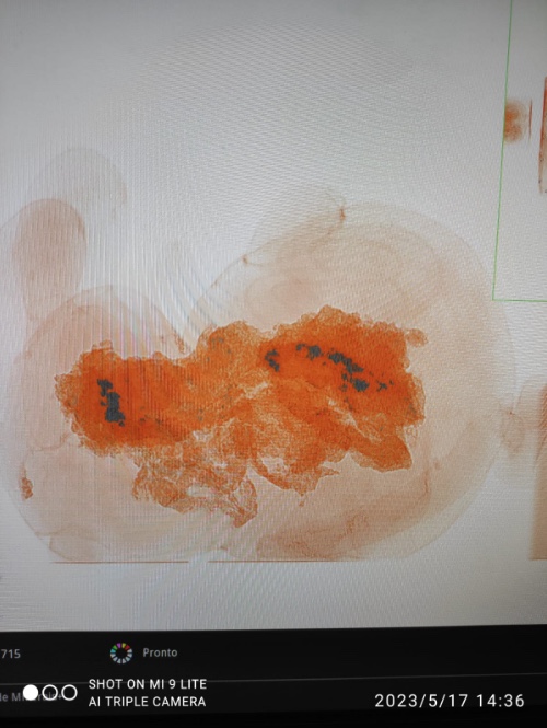 Foto: Divulga&ccedil;&atilde;o Receita Federal de Manaus