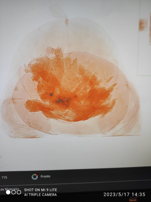 Foto: Divulga&ccedil;&atilde;o Receita Federal de Manaus