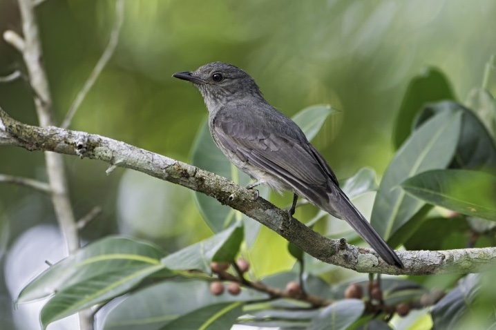 Foto: Anselmo D'Affonseca/Divulga&ccedil;&atilde;o