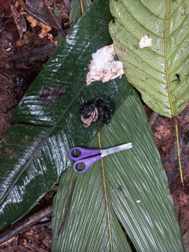 Outros objetos encontrados durante as buscas &mdash; Foto: Fuerzas Militares de Colombia