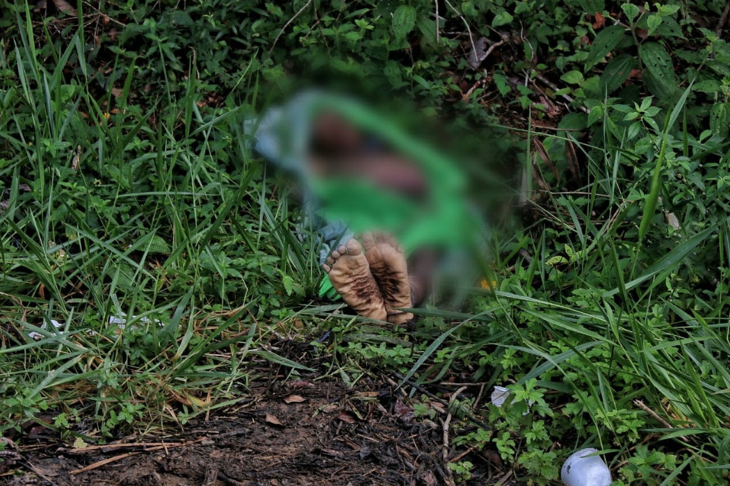 Foto: Jander Robson / Portal do Holanda