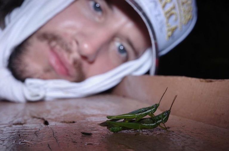 Irm&atilde;o da cantora se encantou com a natureza e postou foto admirando at&eacute; os gafanhotos. Fotos: Instagram