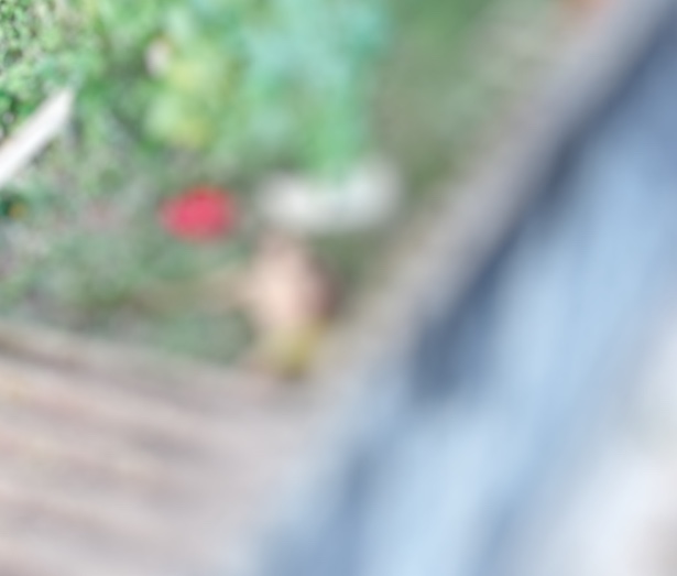 A bermuda da v&iacute;tima estava ao lado do corpo. Um boletim de ocorr&ecirc;ncia estava em um dos bolsos de Davi- Foto: Jander Robson