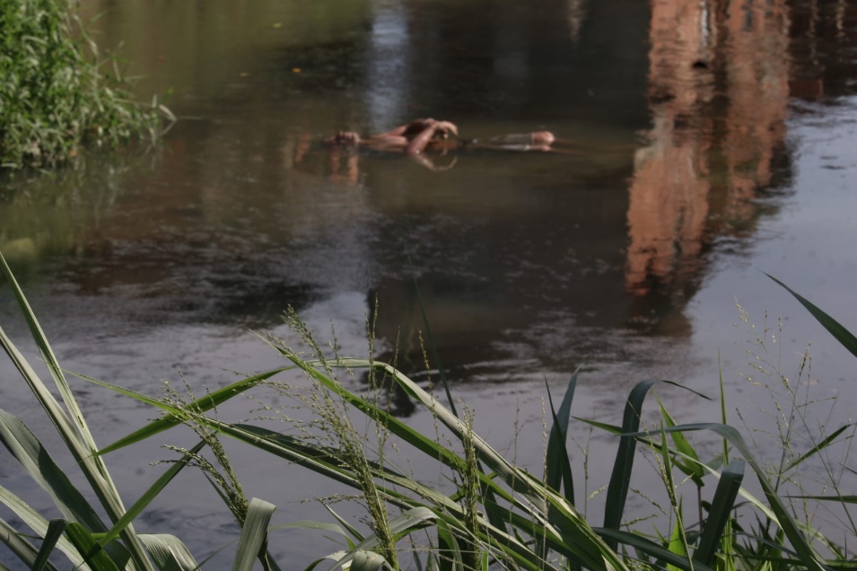 Foto: Jander Robson / Portal do Holanda