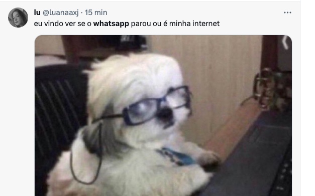 Reprodu&ccedil;&atilde;o / Twitter