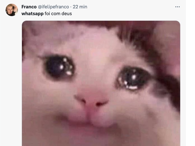 Reprodu&ccedil;&atilde;o / Twitter