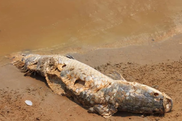 Foto: Divulga&ccedil;&atilde;o