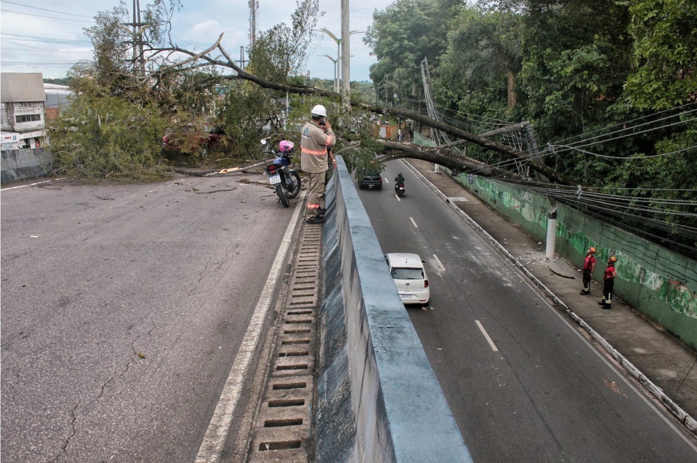 Foto: Jander Robson / Portal do Holanda