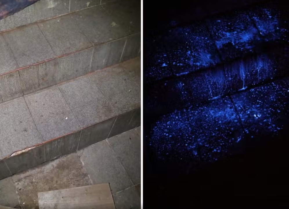 Foto: Divulga&ccedil;&atilde;o/PC-GO