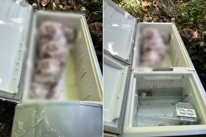 Foto: Reprodu&ccedil;&atilde;o