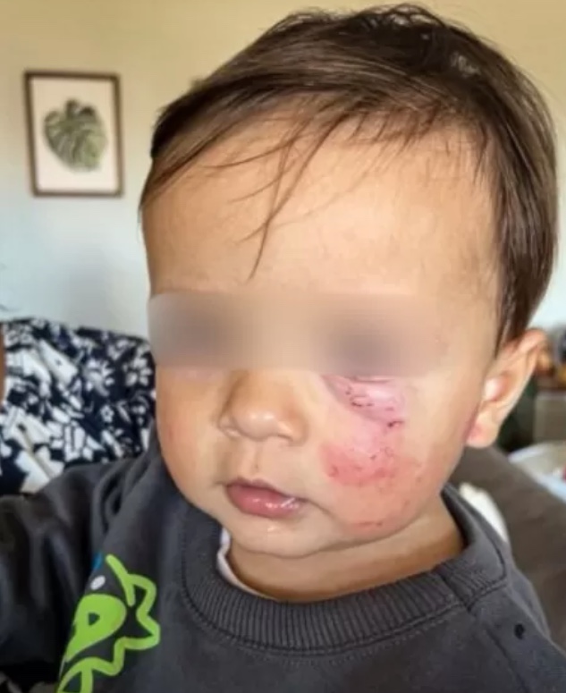 Foto: Reprodu&ccedil;&atilde;o / UOL