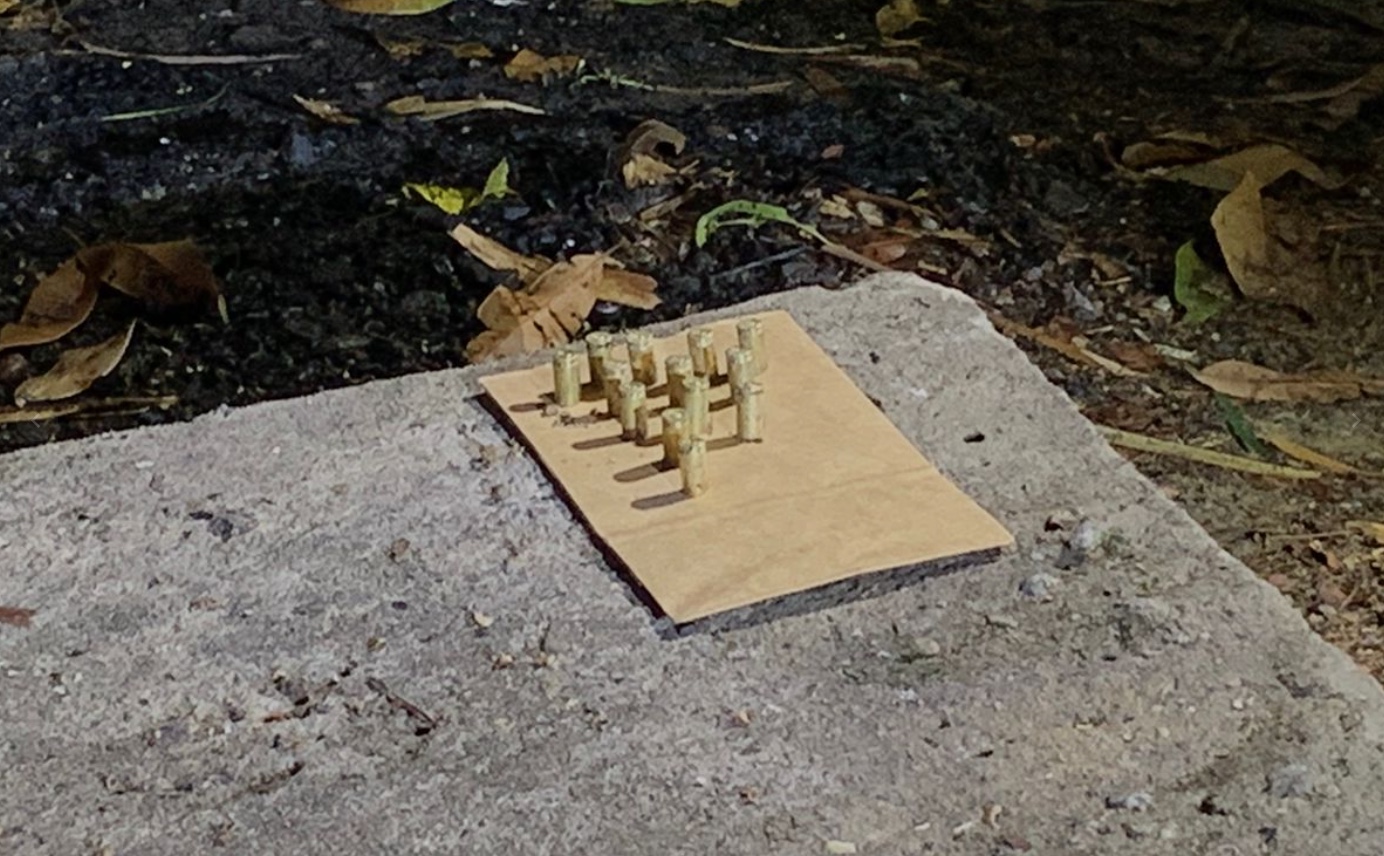 Foto: Caio Guarlotte / Portal do Holanda