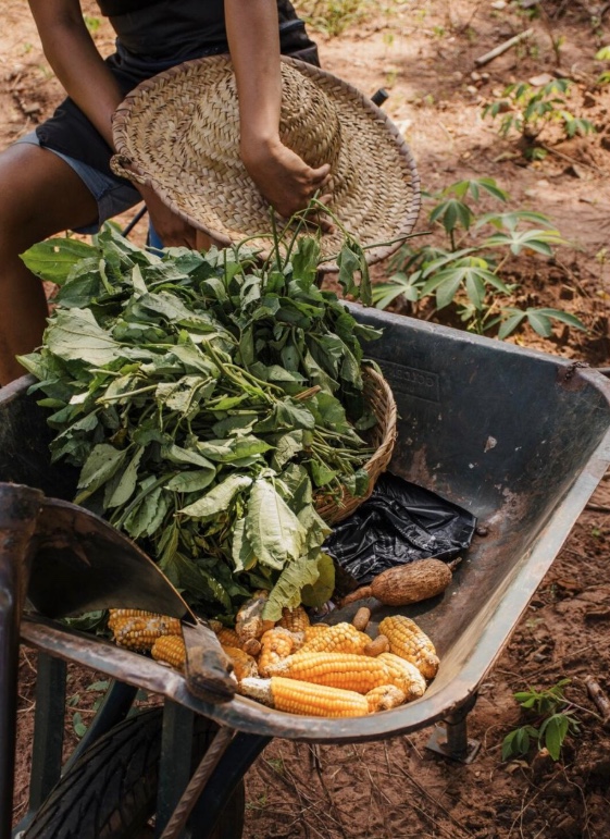Foto: Divulga&ccedil;&atilde;o