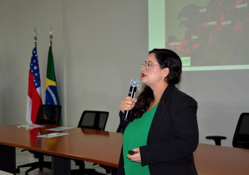 Foto: Jos&eacute; Narbaes/Ipaam