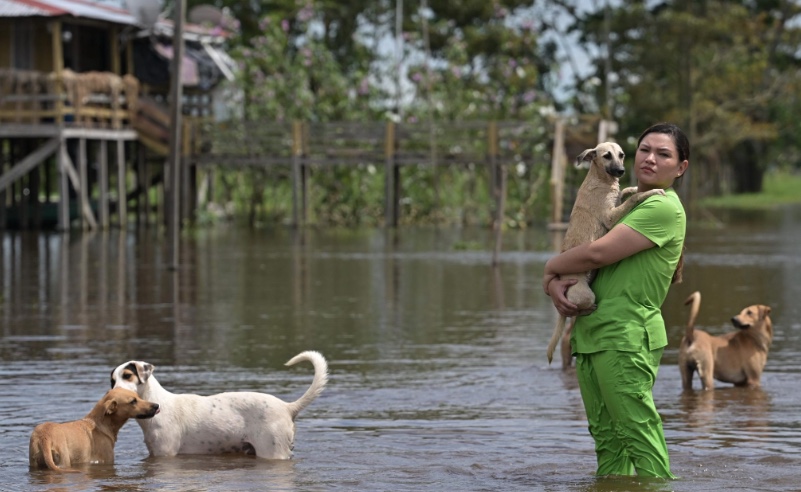 Foto: Divulga&ccedil;&atilde;o 
