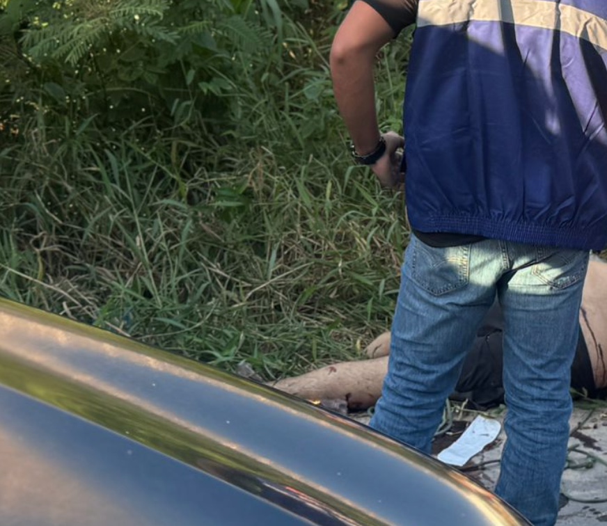 Foto: Neto Silva / Portal do Holanda