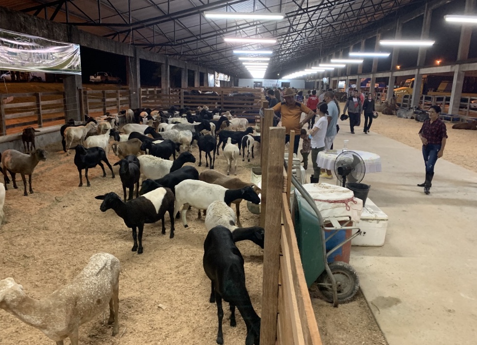 Foto: Reprodu&ccedil;&atilde;o