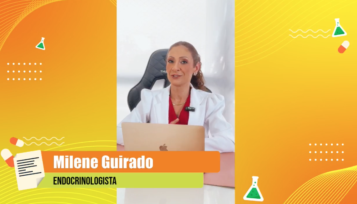 Reprodu&ccedil;&atilde;o Live - Portal do Holanda