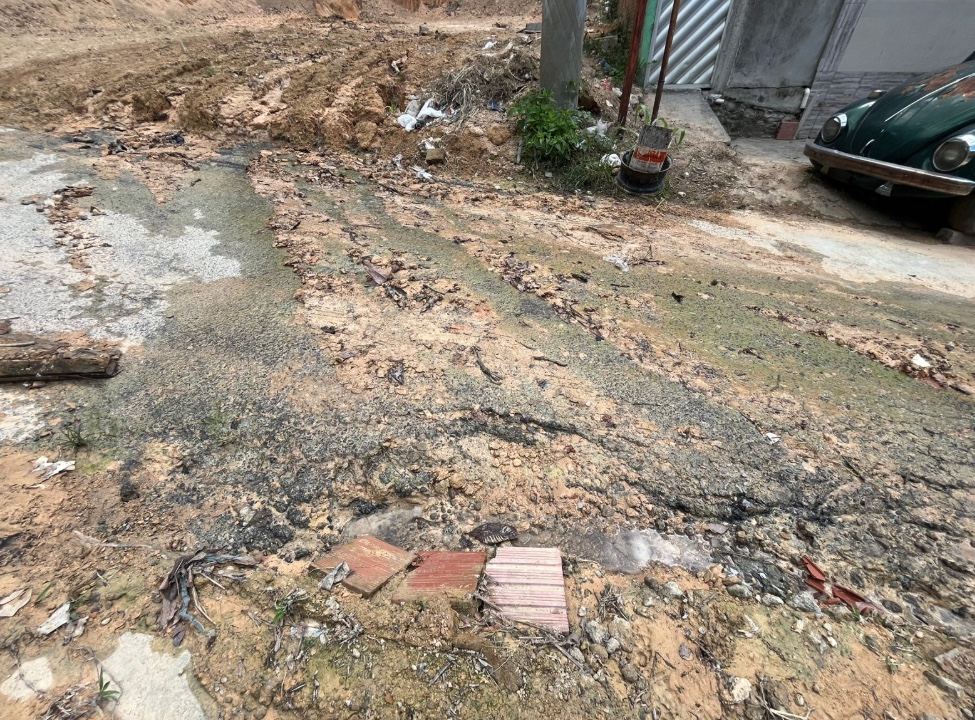 Foto: Jander Robson/Portal do Holanda