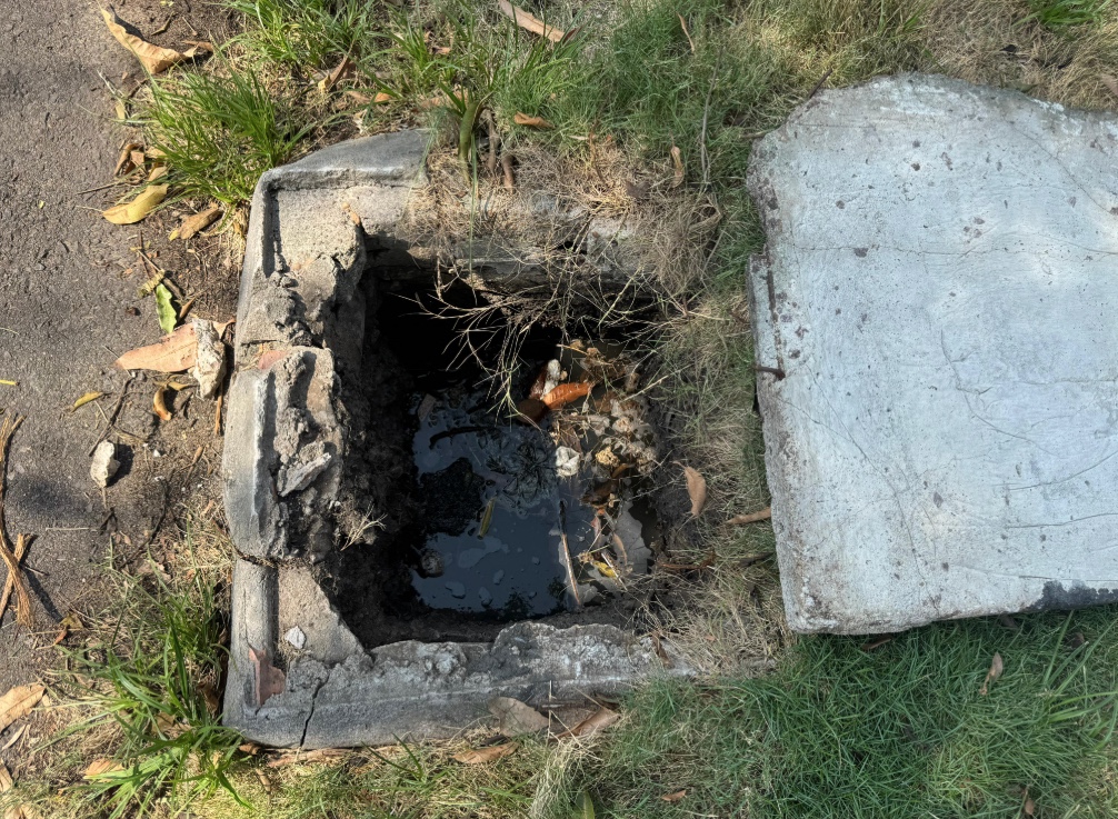 Foto: Neto Silva/Portal do Holanda 