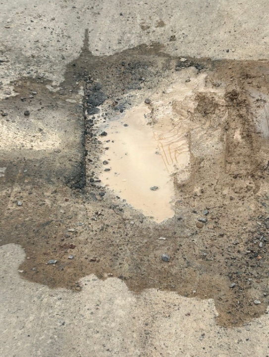 Foto: Jander Robson/Portal do Holanda