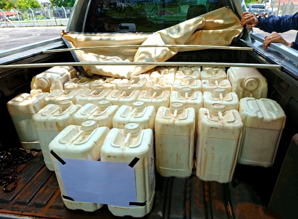 Foto: Divulga&ccedil;&atilde;o/IPAAM