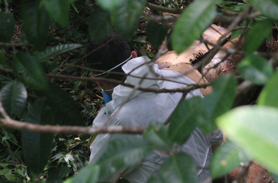 Foto: Jander Robson/Portal do Holanda