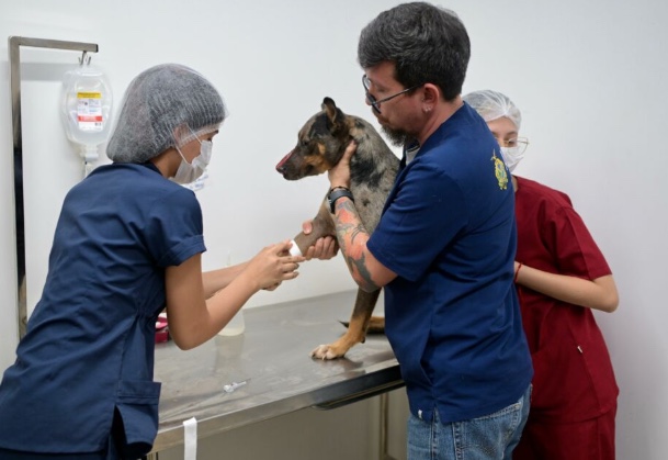 Foto: Divulga&ccedil;&atilde;o/Sepet