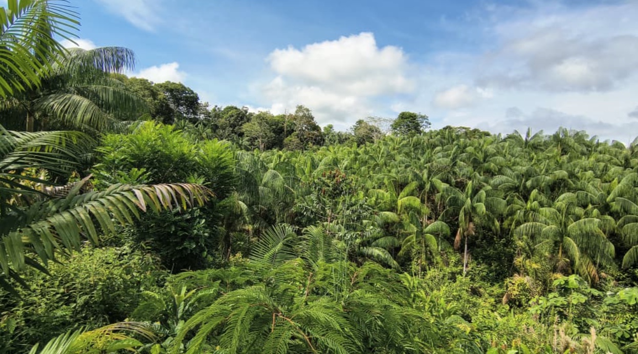 Foto: Edilson Seabra Pereira