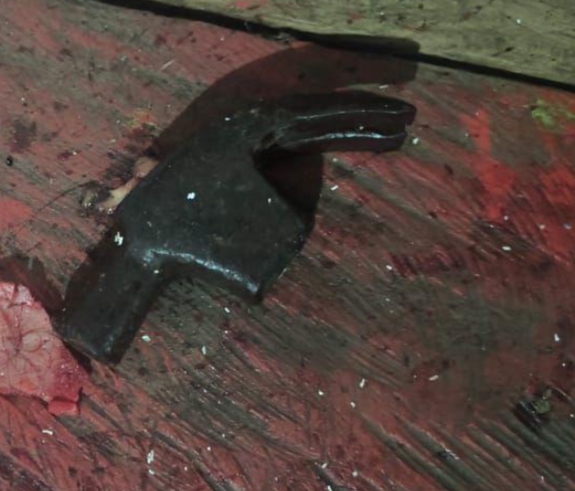 Massa encef&aacute;lica ficou espalhada pela casa - Foto: Divulga&ccedil;&atilde;o