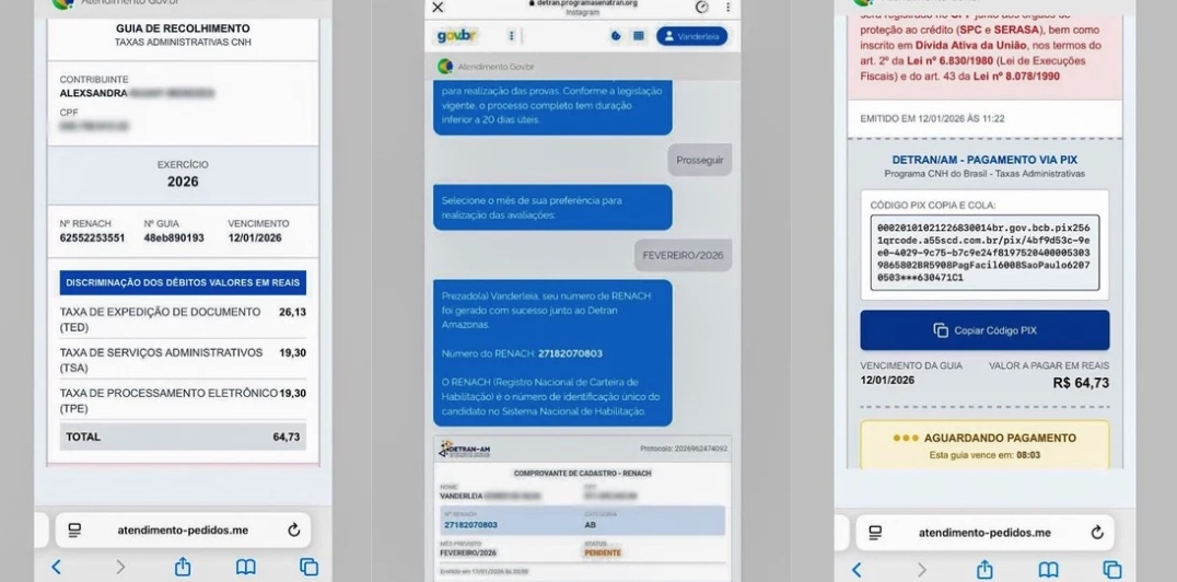 Print de como o site falso trabalha - Fotos: Divulga&ccedil;&atilde;o/Detran-AM
