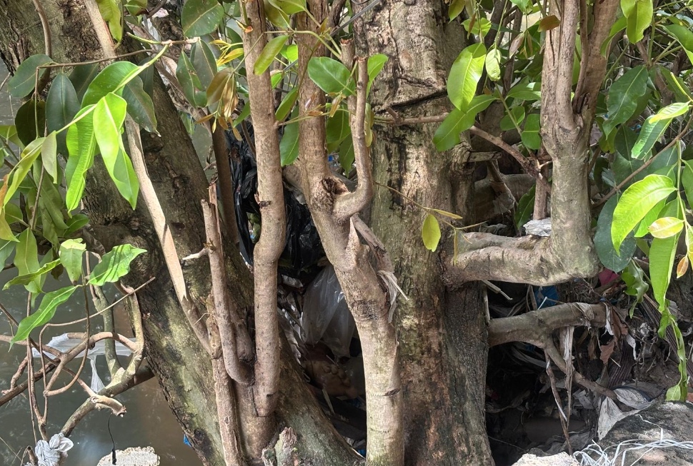 Foto: Jander Robson/Portal do Holanda